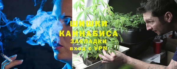 молекула духа Арсеньев