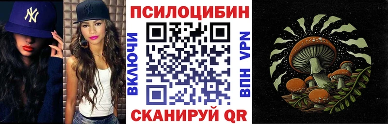 Псилоцибиновые грибы Psilocybine cubensis  Пущино 